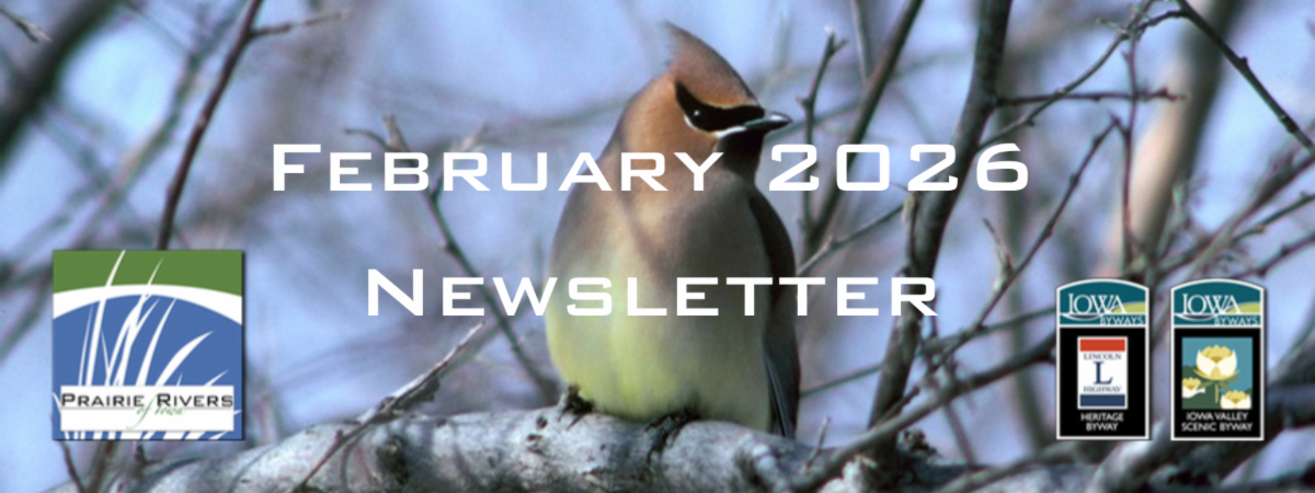 Feb_2026_Newsletter_p1.png