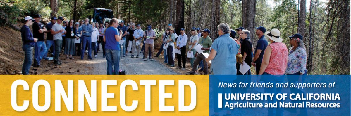 UCCE forestry advisor Susie Kocher speaks before a semi-circle of tour attendees among the trees at Blodgett Forest