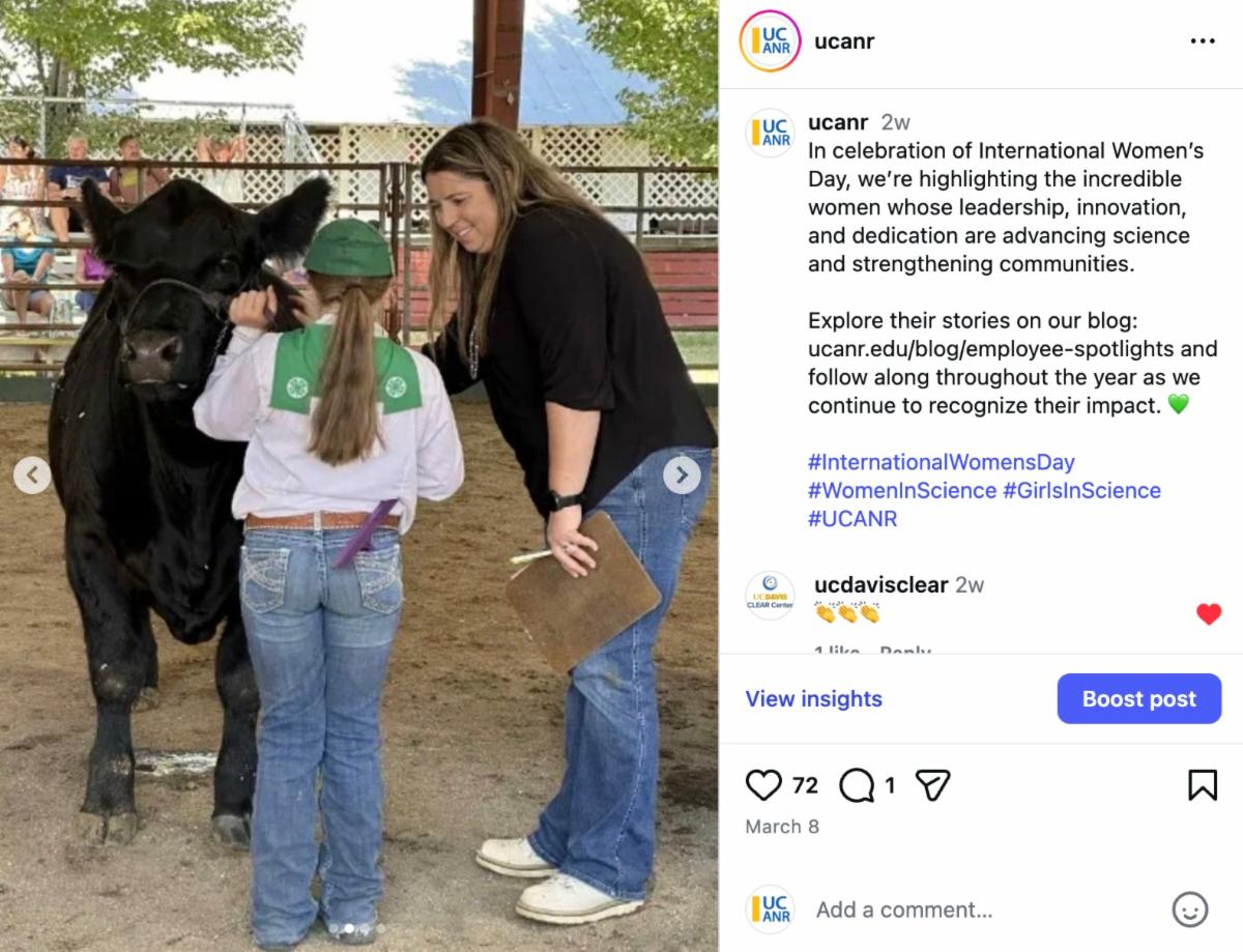 A woman leans forward to talk with a 4-H youth club member who is looking after cattle under a pavilion