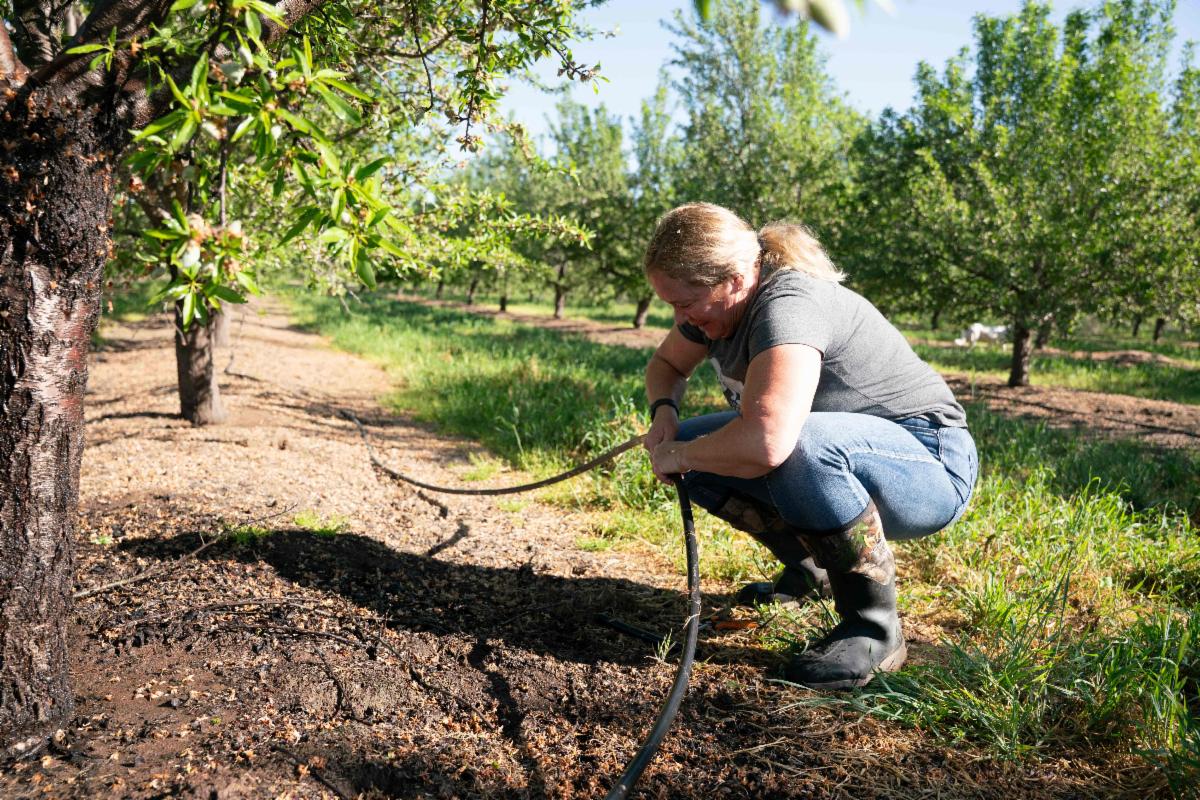 A Fresno County farmer repairs a leak in her irrigation line