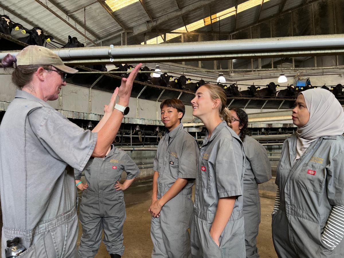 Interns listen to Deniece Williams talk about rotary milking parlors as the cows in the background look on