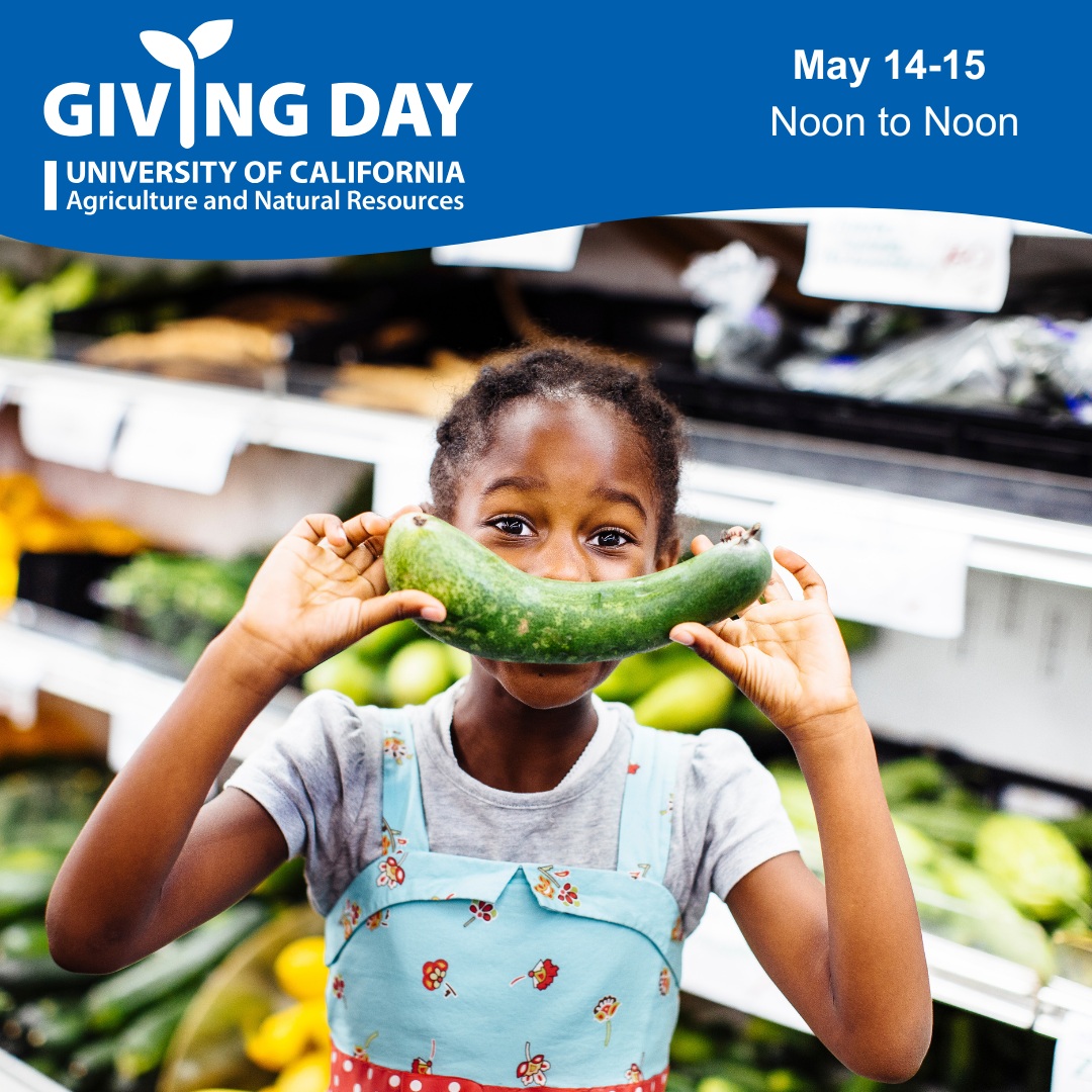 Young girl in a grocery store holds up a squash to her face, pretending it is her smile
