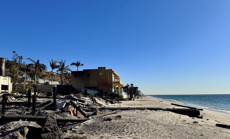 Oceanside homes damaged by wildfire sit between palm trees and the beach