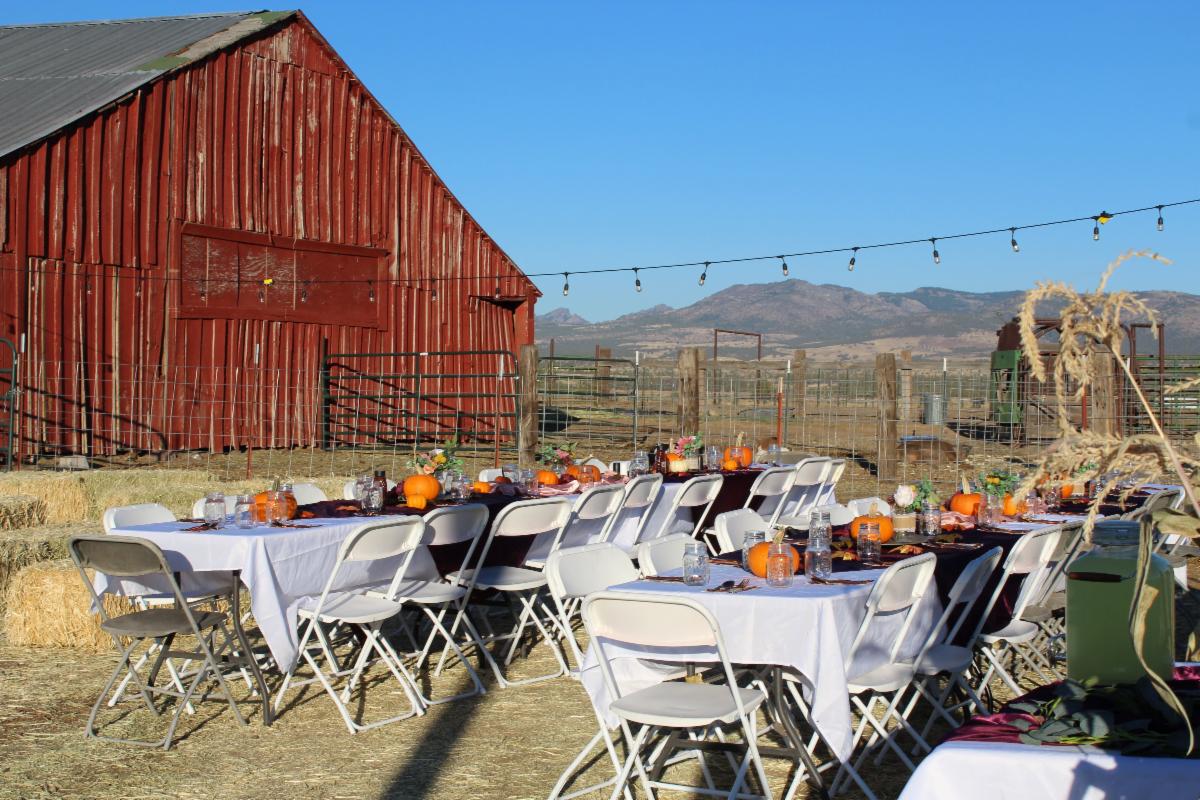 Tables are set at a farm-to-table agritourism event next to a red barn with mountains in the distance