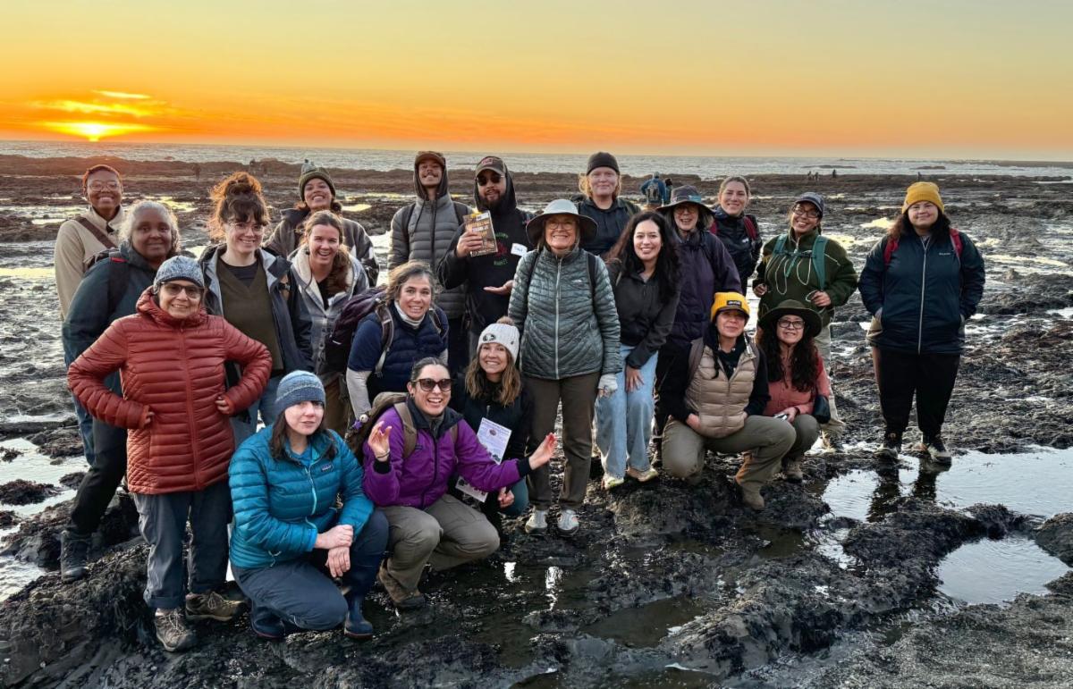About 20 UC California Naturalist course participants crouch and stand by tide pools at Duxbury Reef as the sun sets behind them, turning the sky orange