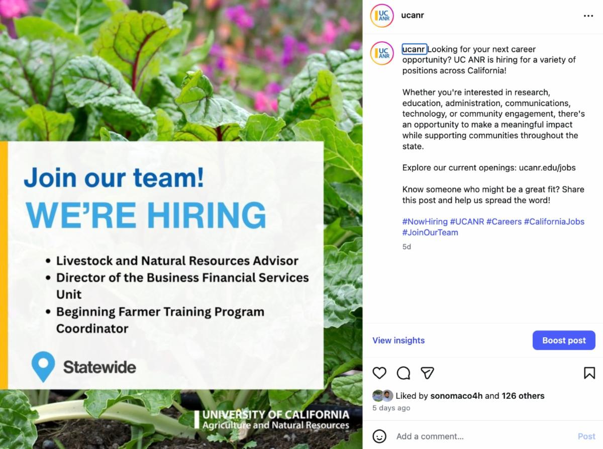 Instagram post with a graphic that says "We're Hiring"