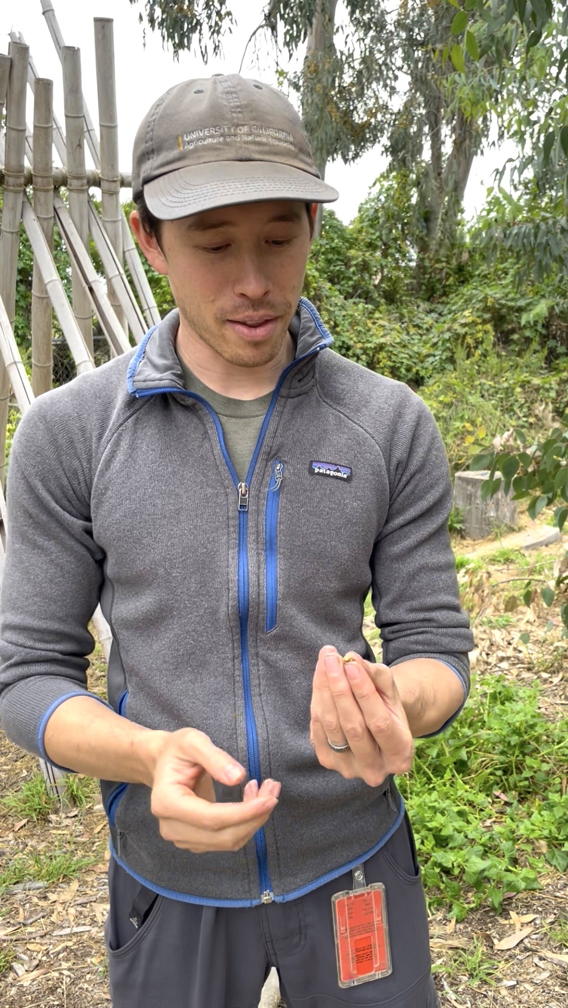 Man in a baseball cap holds an insect pest in his hand as he stands in a garden