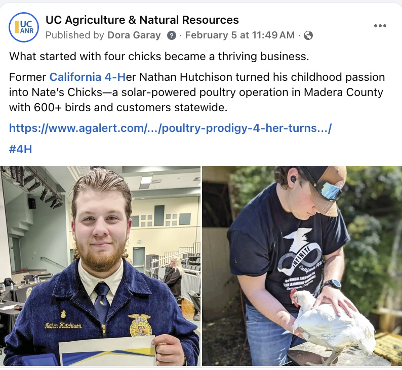 Screen grab of a Facebook post about a California 4-H participant, with the left image showing a young man in a FFA uniform and the right image showing him holding one of his chickens