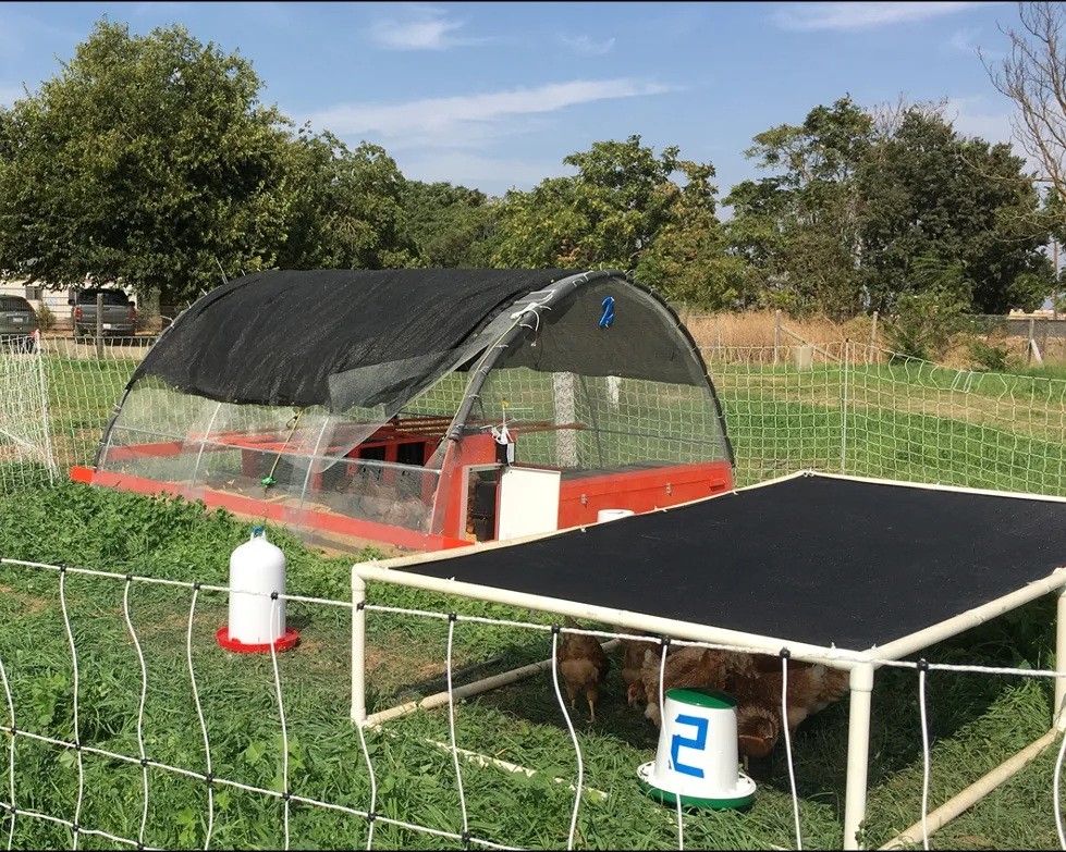 Covered coop area with both hardware cloth and a solid tarp protecting against wild birds