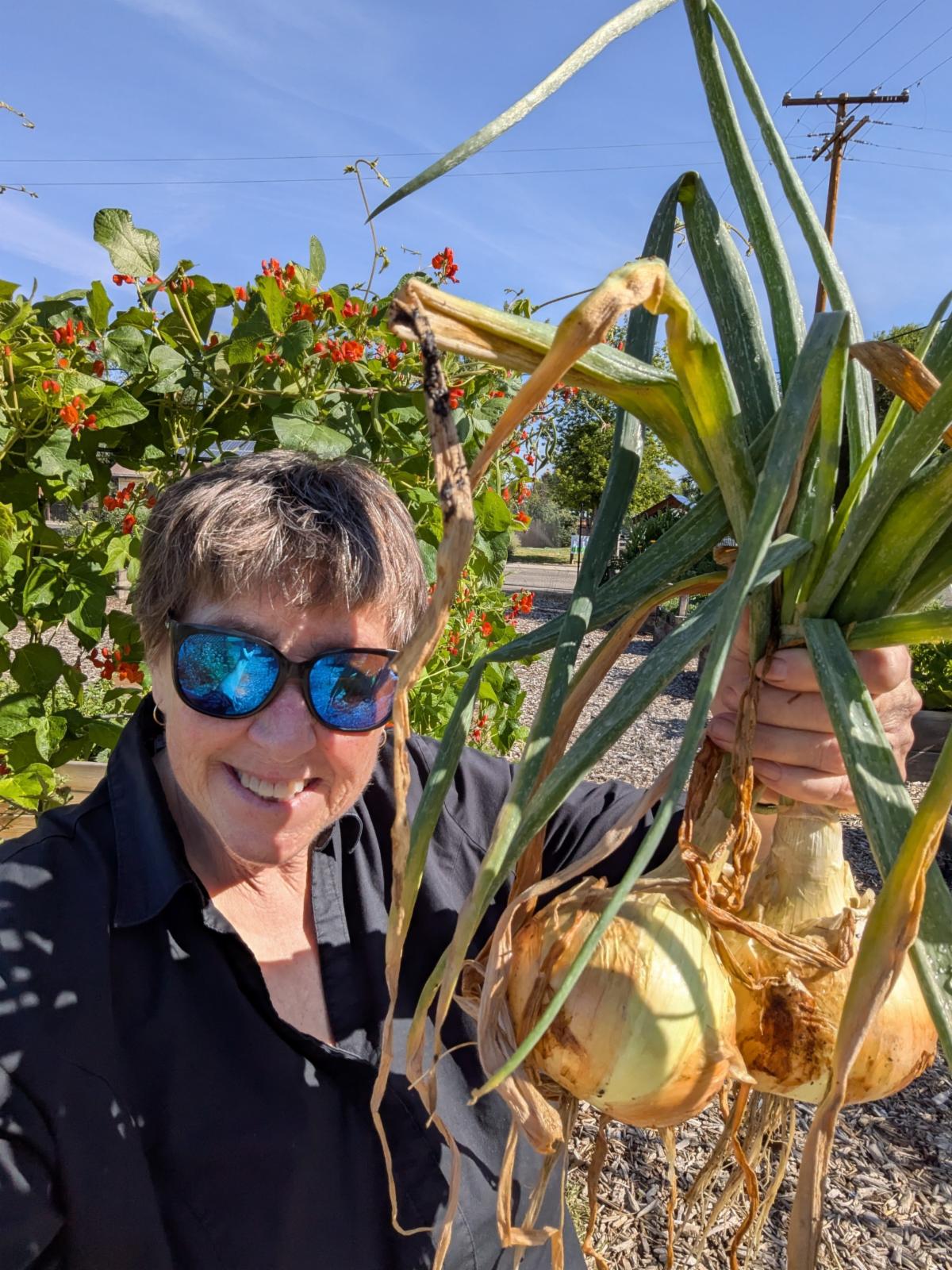 UCCE advisor Laurie "Lio" Wayne holds up Walla Walla onions grown in a community garden