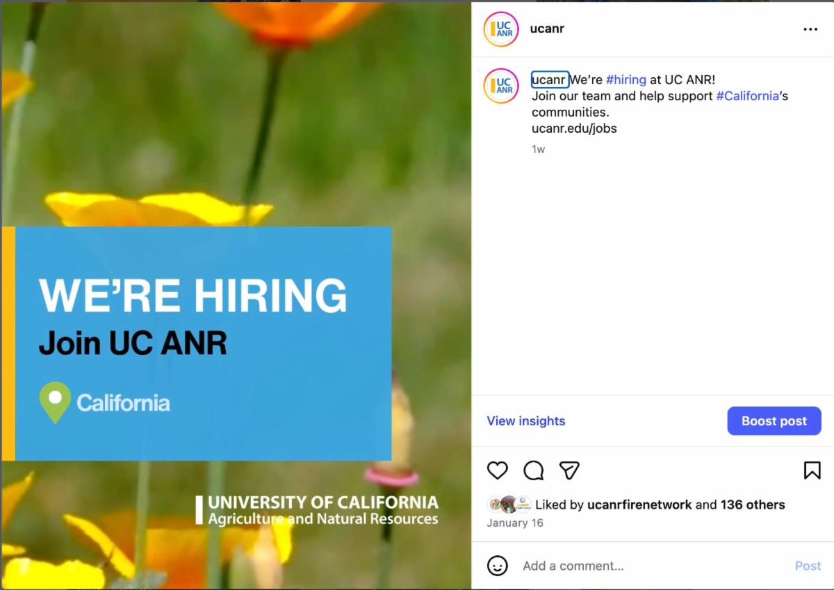Screengrab of an Instagram post that reads We're Hiring