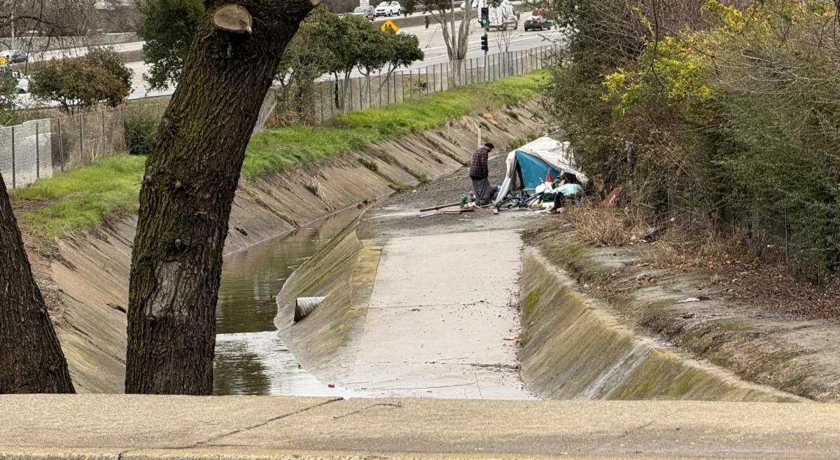 Man stands by a collapsed tent structure next to bushes in an urban stream corridor