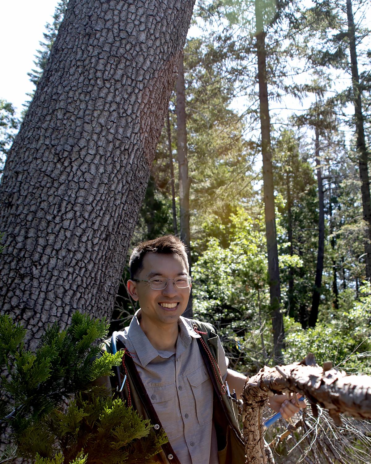 Man in glasses and vest smiles as he stands next to trunk of tree amid conifer forest