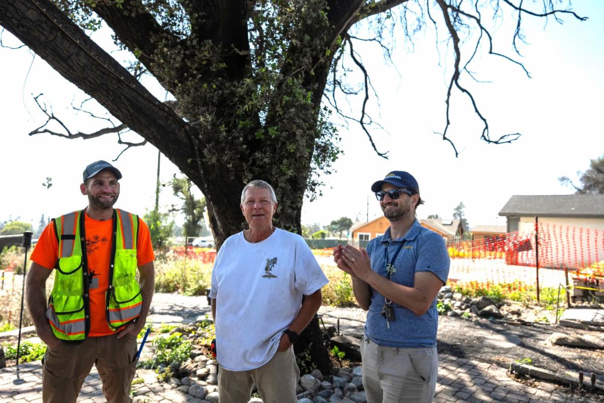 UC ANR's Chris Shogren (left) and UC Davis' Alessandro Ossola (right) flank Jeff Henderson as they provide research-based guidance on the recovery of trees