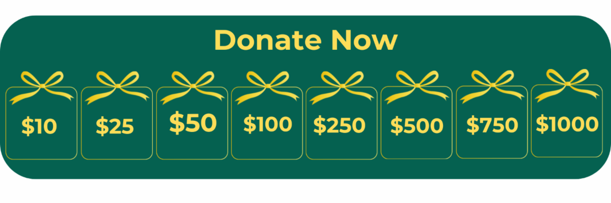Donate Now Button 