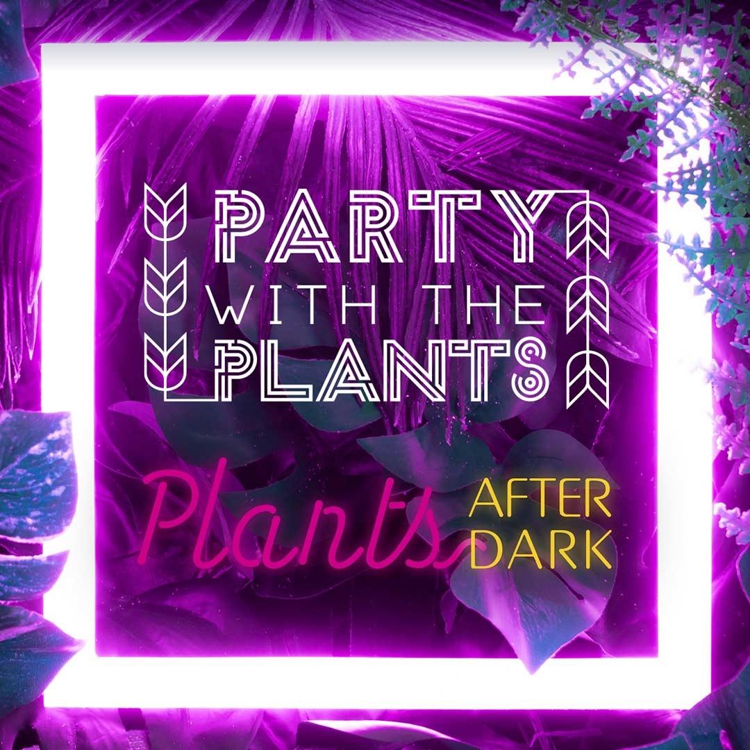Party with the Plants Plants After Dark