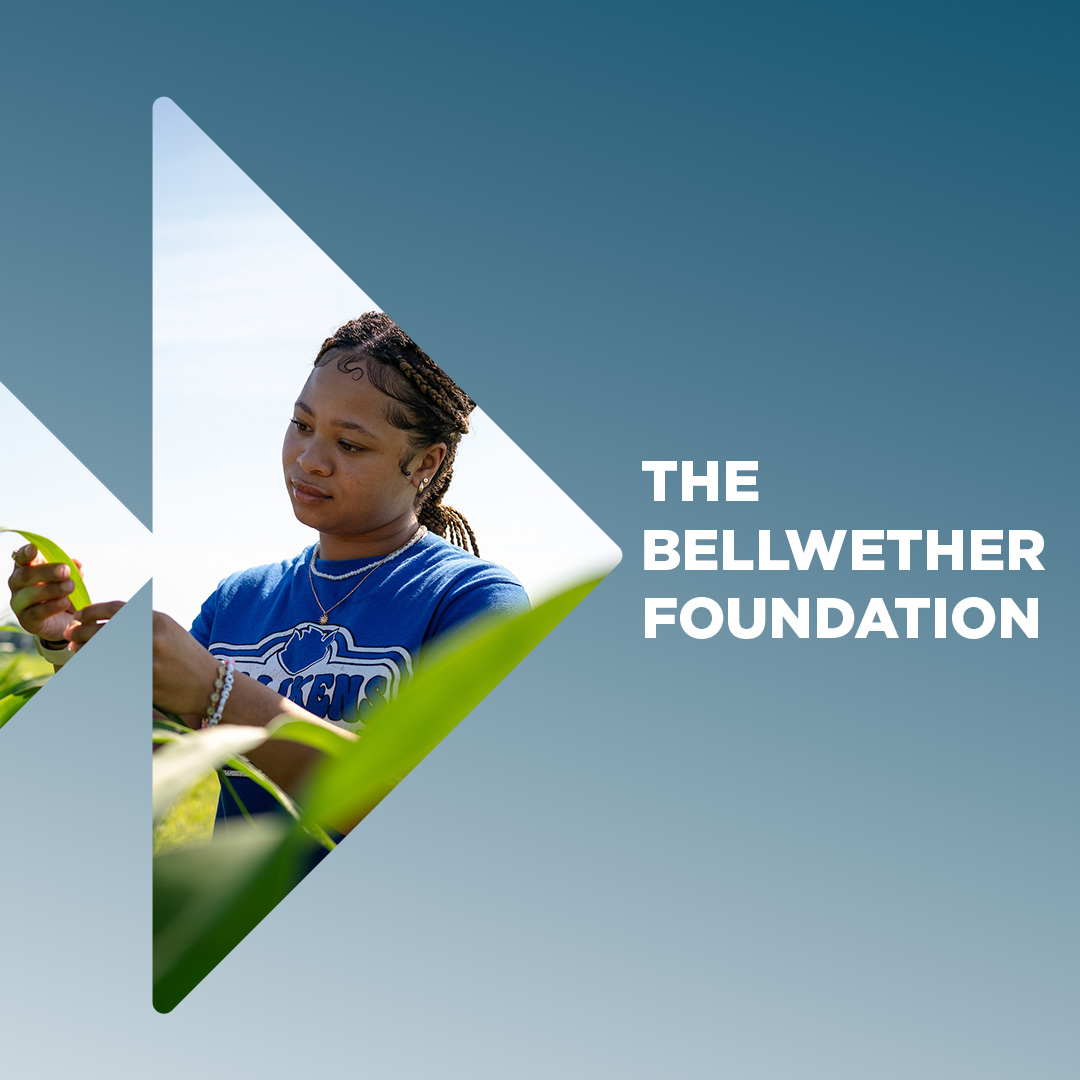 Researcher inspecting a sorghum leaf. The photo is inside the Future Forward logo. Beside it are the words the Bellwether Foundation.