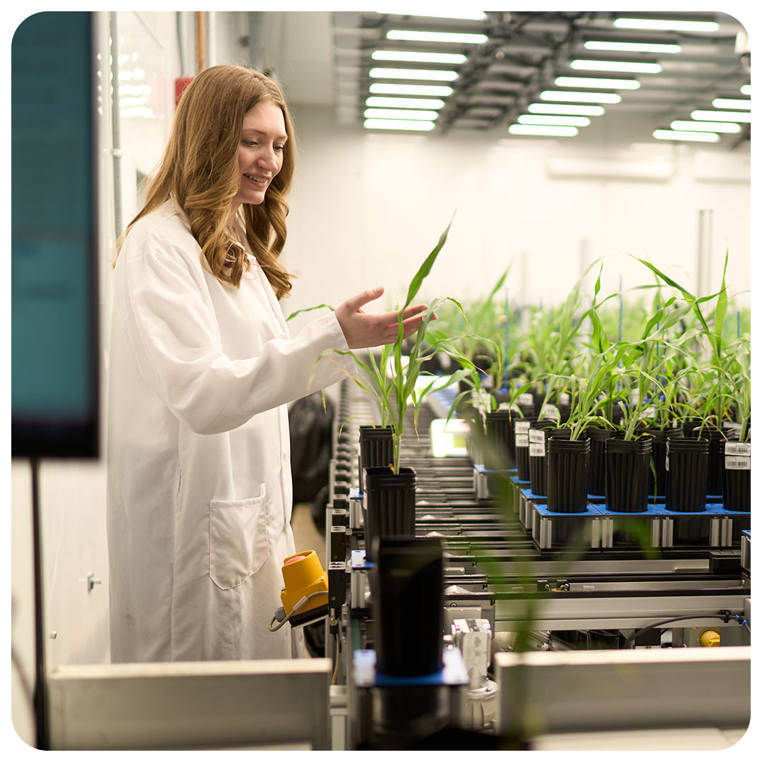 Katie Murphy in the Phenotyping facility.