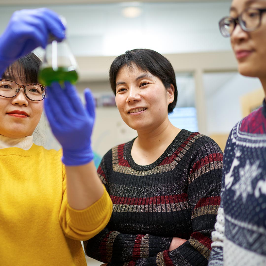 Ru Zhang and lab members.