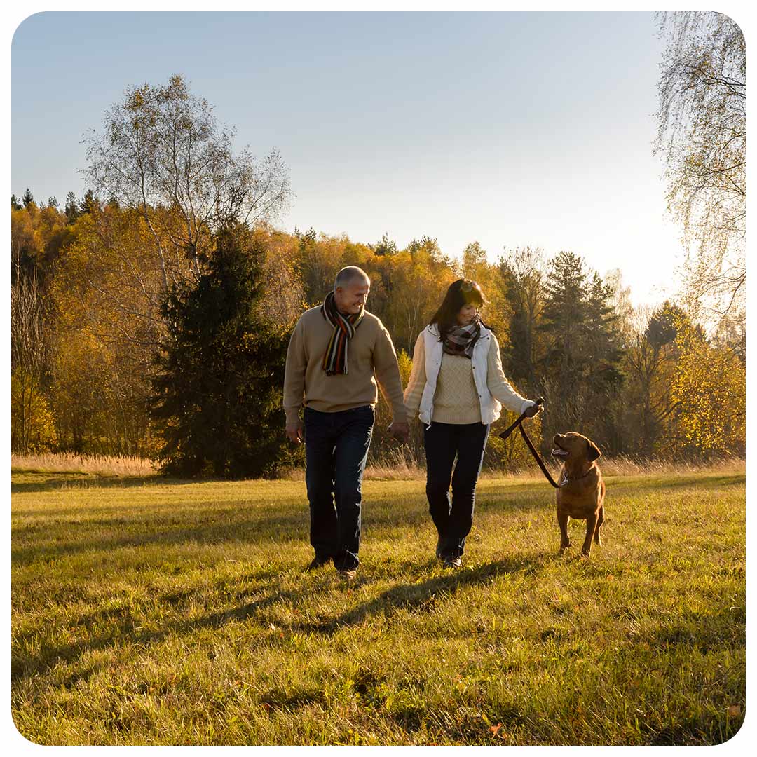 A couple walking with a dog.