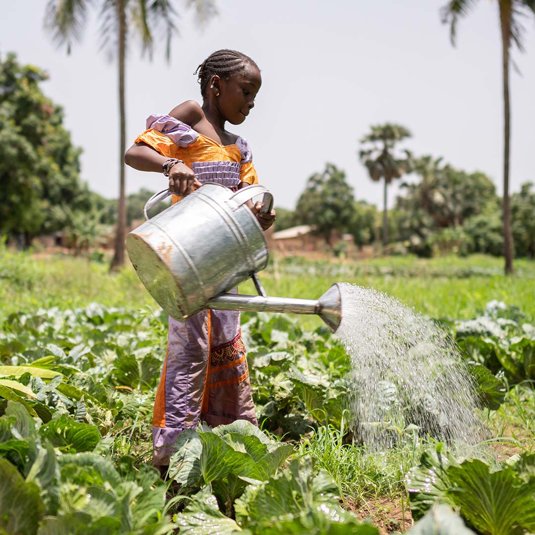 Child watering crops.