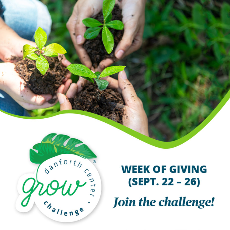 Hands holding plants. Grow Challenge Week of Giving September 22 to 26. Join the Challenge.