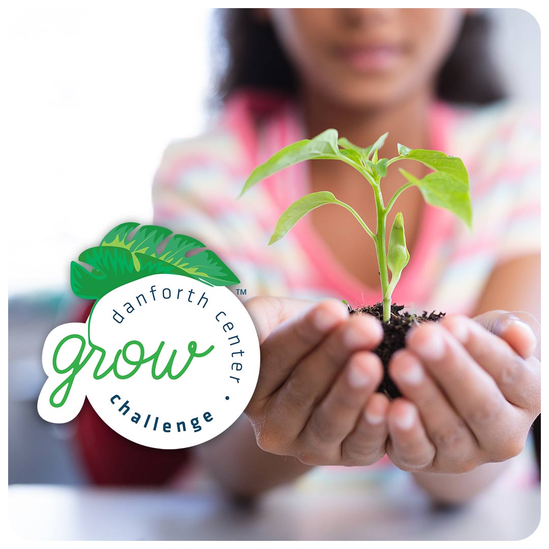 Child holding a plant. Grow Challenge logo.