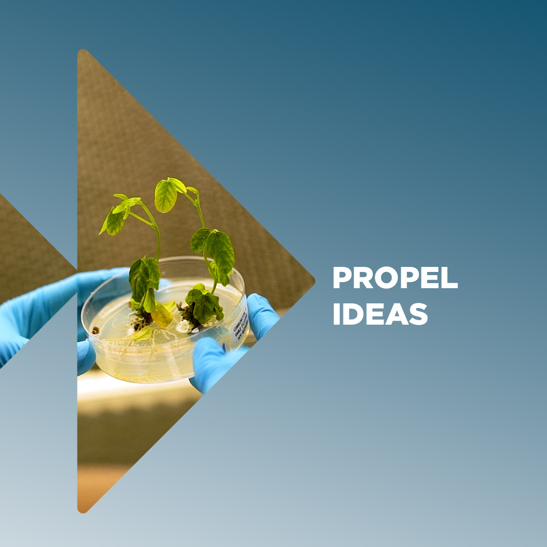 Hands holding a plant in a petri dish inside the Future Forward logo. The words Propel Ideas are beside it.