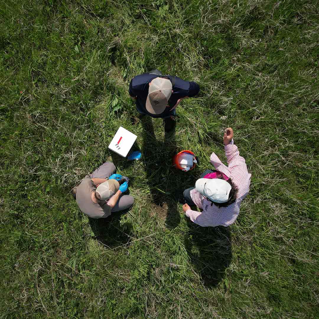 Danforth Center researchers collecting soil samples.