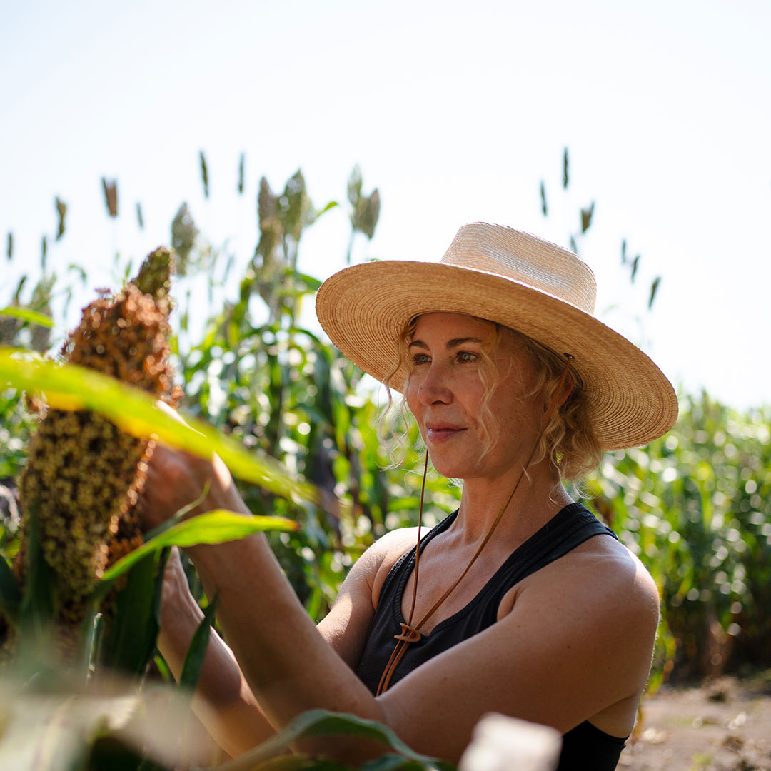 Andrea Eveland inspecting sorghum.