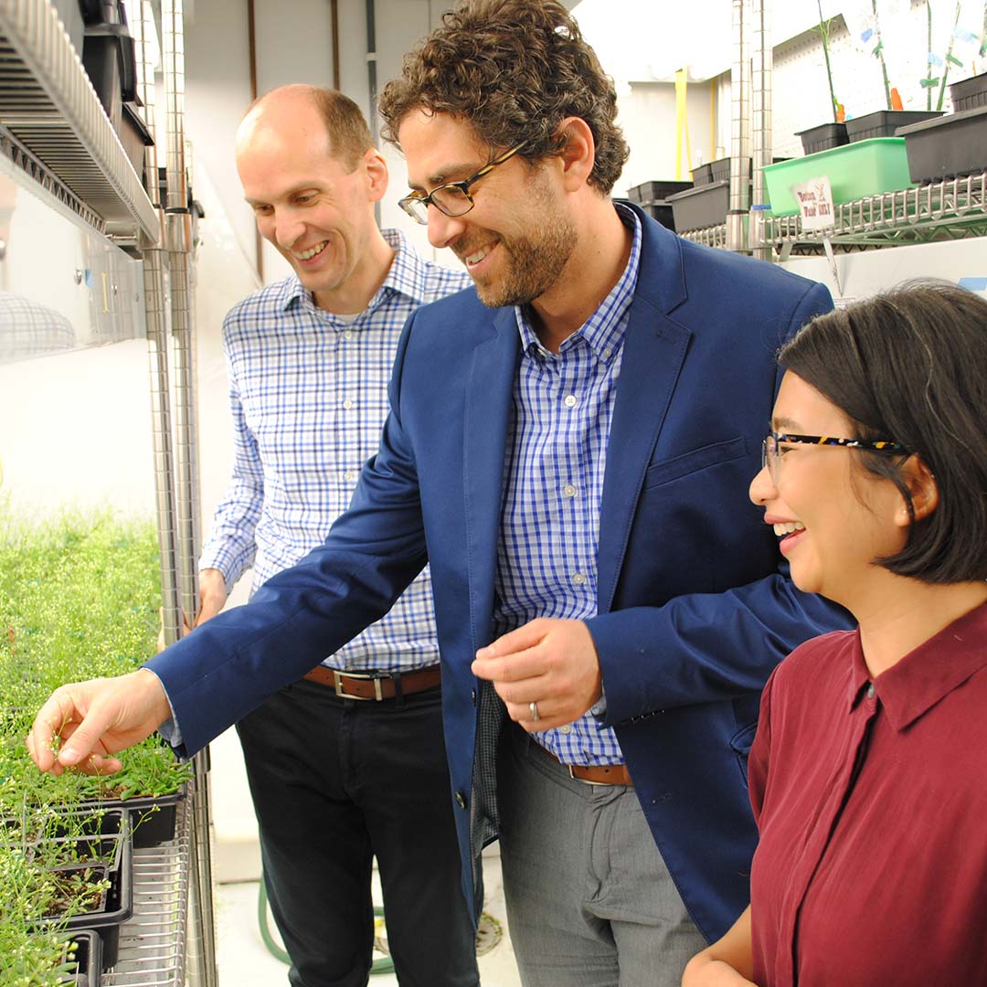 Malia Gehan with Keith Slotkin and Noah Fahlgren in a Danforth Center growth chamber.