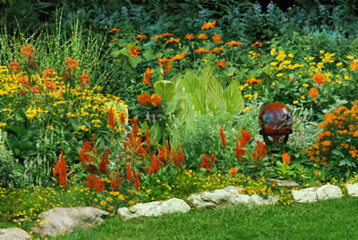 A garden full of multi colored flowers and greenery.