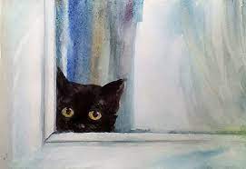 Black Cat Peeking Out of a Window
