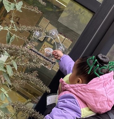 Little girl filling up bird feeder