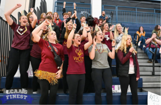 students cheering on bleachers