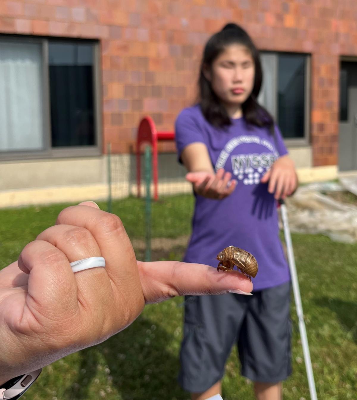 Bug placed on person's finger