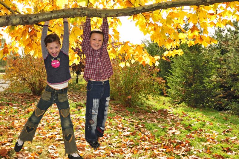 Two kids swinging from a tree branch on a fall day
