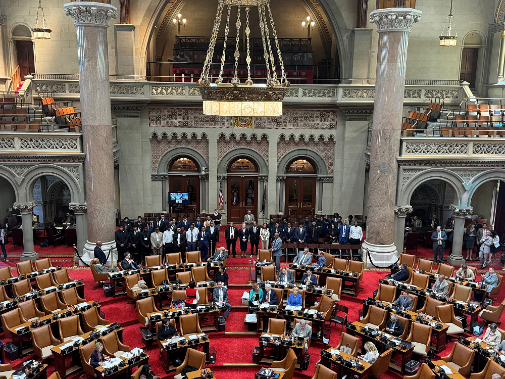 MBK Fellows visit the NYS legislature