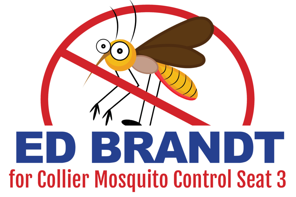 branding logo