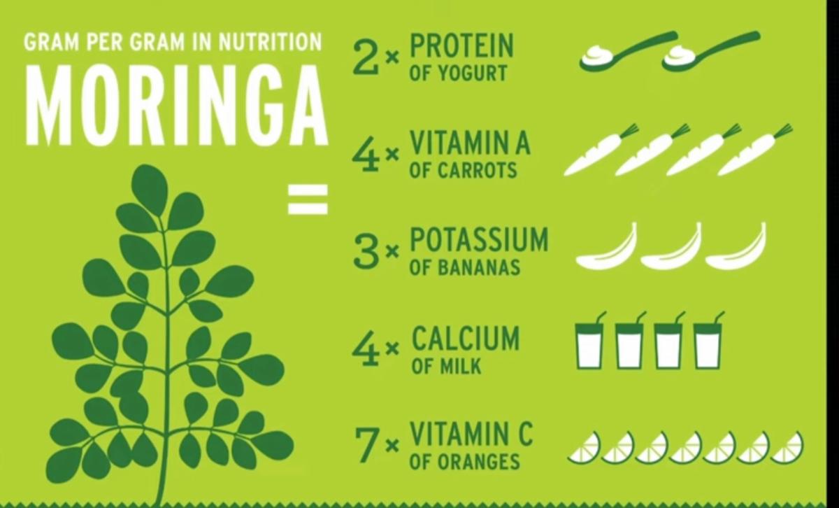 MORINGA