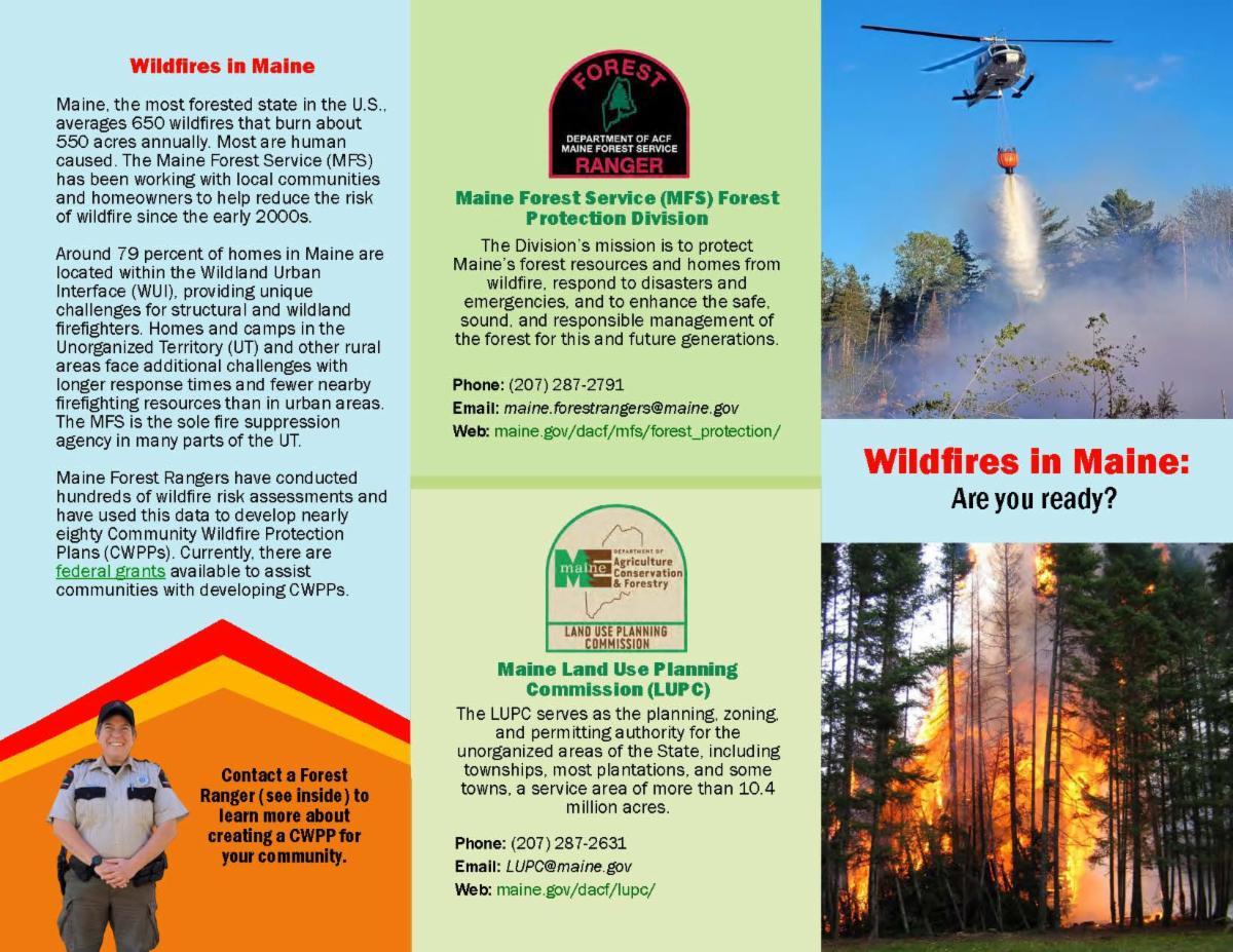 Wells May Newsletter