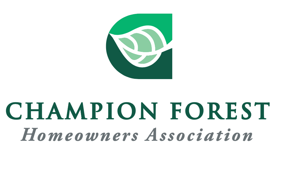 Branding Logo.png