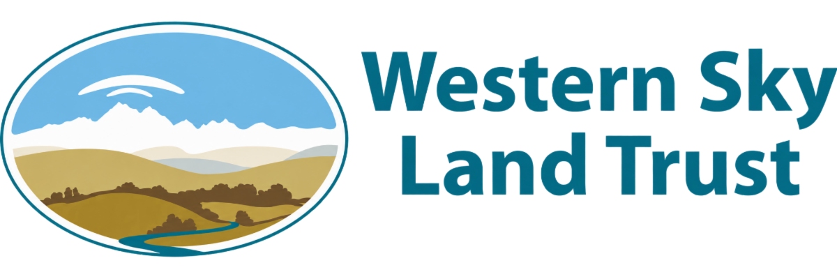 WSLT Transparent Logo