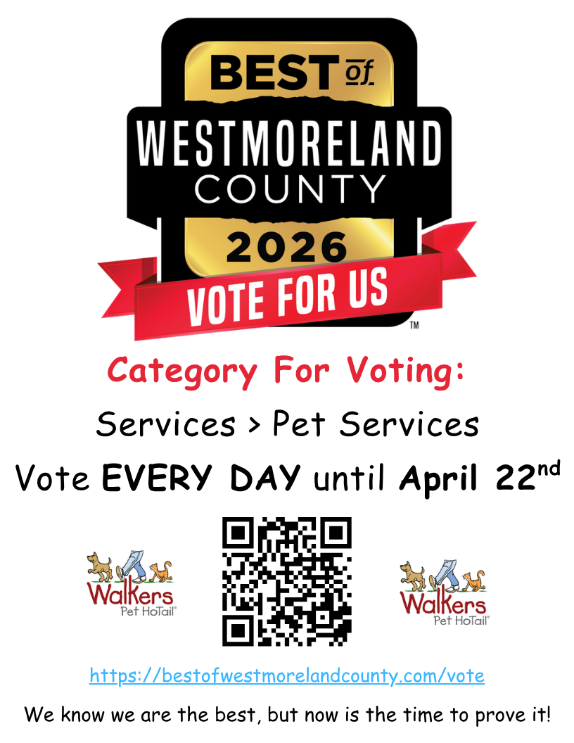 Vote_for_Us_2025_Flyer_p1.png