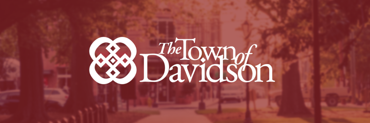 DAV_Alternative Banner_02.png