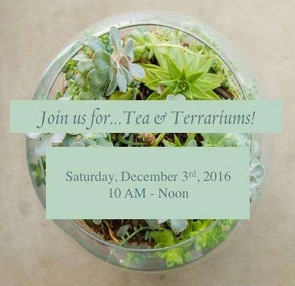 tea and terrariums
