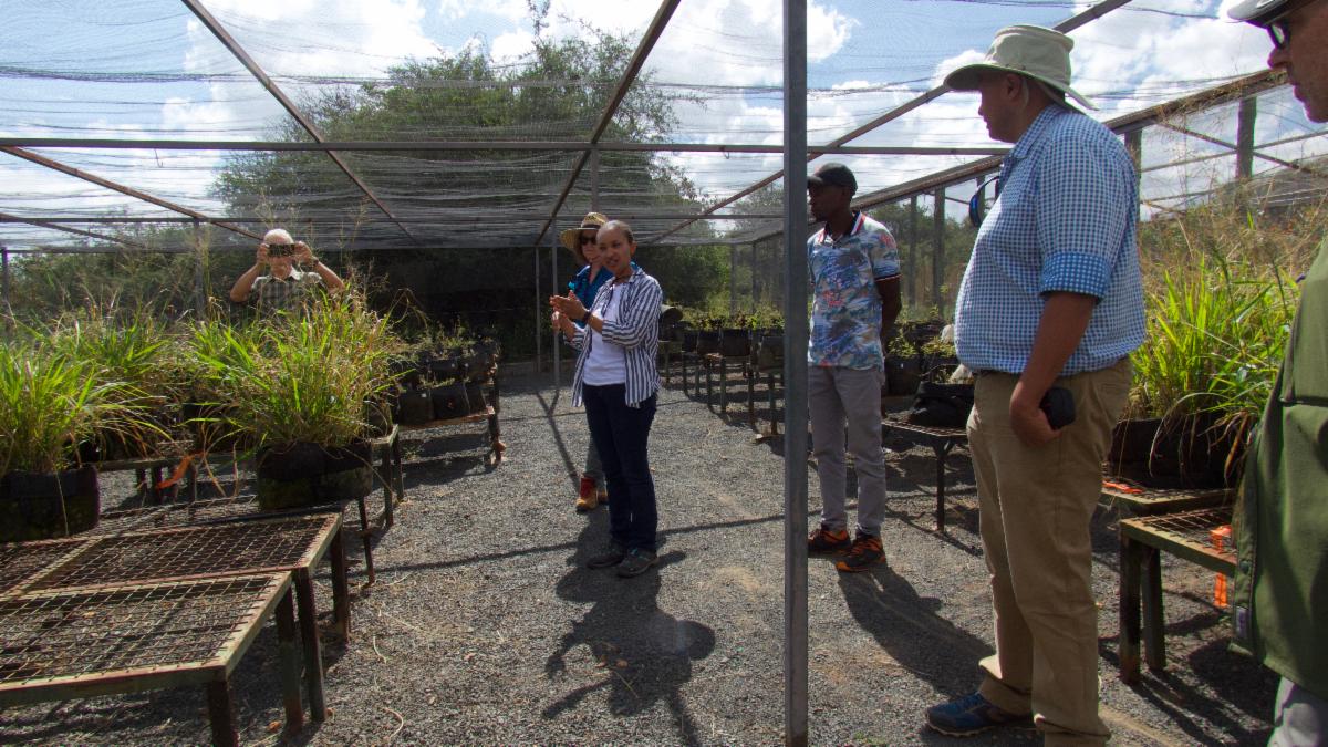 Aimee showing the greenhouses.