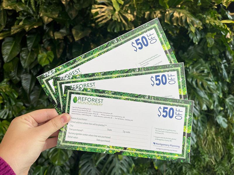 a hand holding three $50 Reforest Montgomery coupons