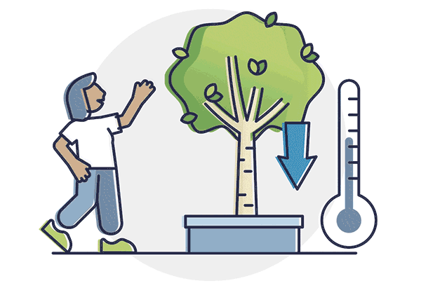 A person is cooled by a nearby tree.