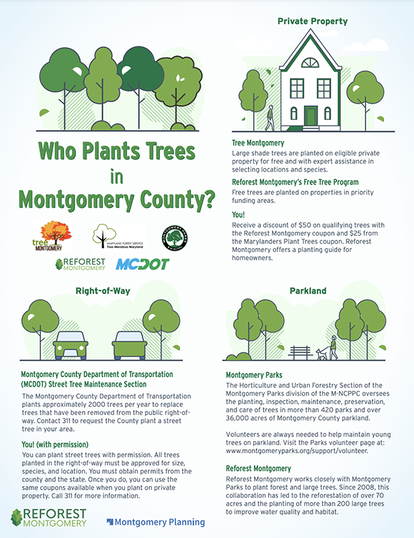 thumbnail of Who Plants Trees guide